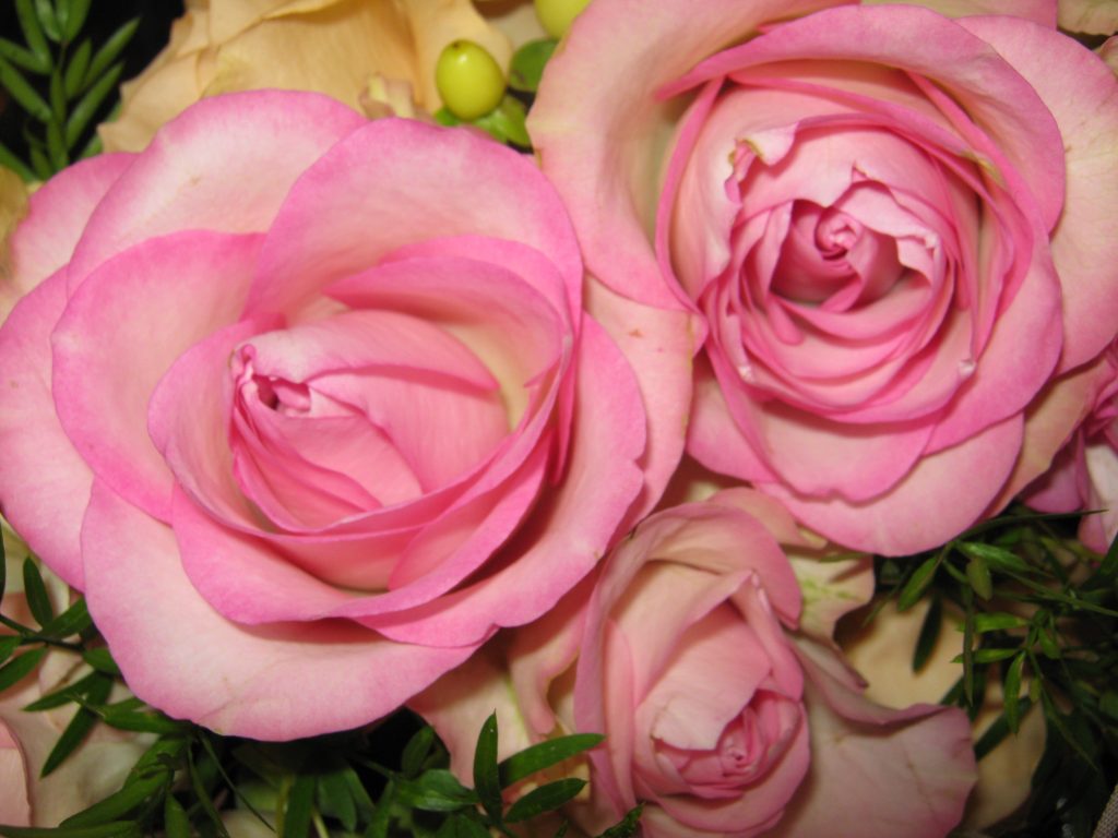 (v.r.) Sandra Böttcher & Ralf Kahle 